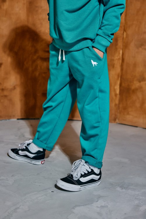 SHADOW WOLF MASHMNIE (34) (1).jpg